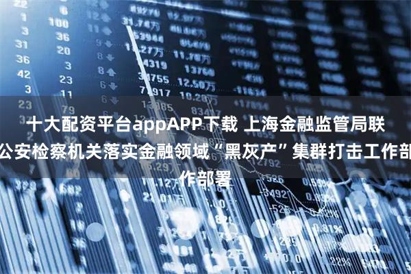 十大配资平台appAPP下载 上海金融监管局联动公安检察机关落实金融领域“黑灰产”集群打击工作部署
