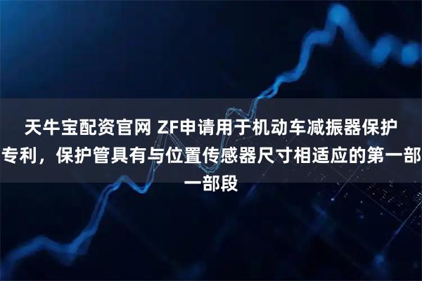 天牛宝配资官网 ZF申请用于机动车减振器保护管专利，保护管具有与位置传感器尺寸相适应的第一部段